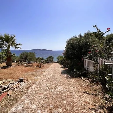 Klementia